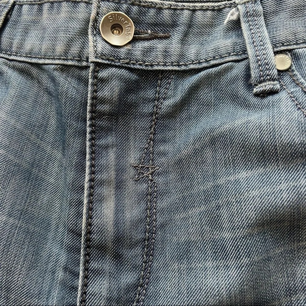 Levis levis mens